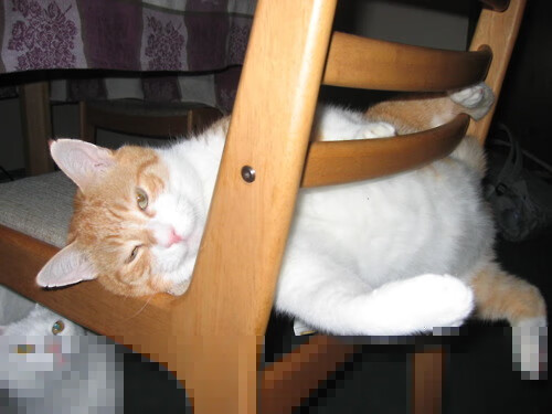 火箭力克太阳，爱德华兹上演篮球版赛道超车，在年度争冠战中接管比赛