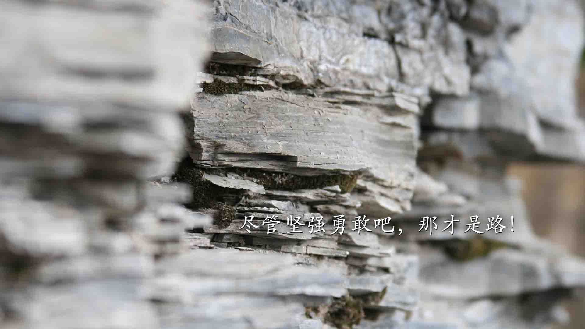 当新疆男篮踏平新奥尔良,一场数据维度的风暴与东契奇的火热统治