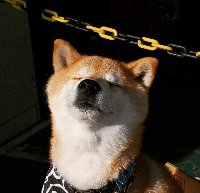 中场统治力,罗德里教科书级表现瓦解贝蒂斯进攻体系