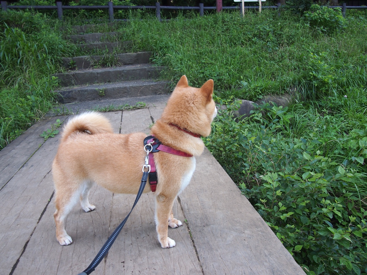 当国家荣耀遇上俱乐部灵魂，一场跨越维度的欧冠半决赛