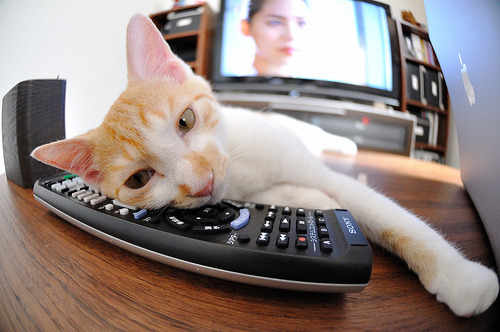 小贾伦定义巅峰对决,篮网轻取吉林队—全场最佳无争议