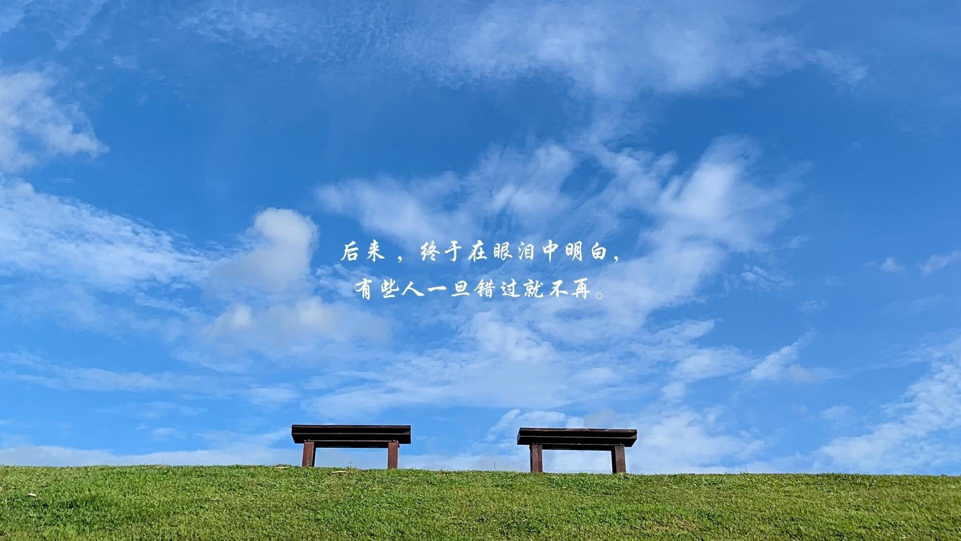 压力下的独舞，阿劳霍一球定音，荷兰虎啸酋长球场