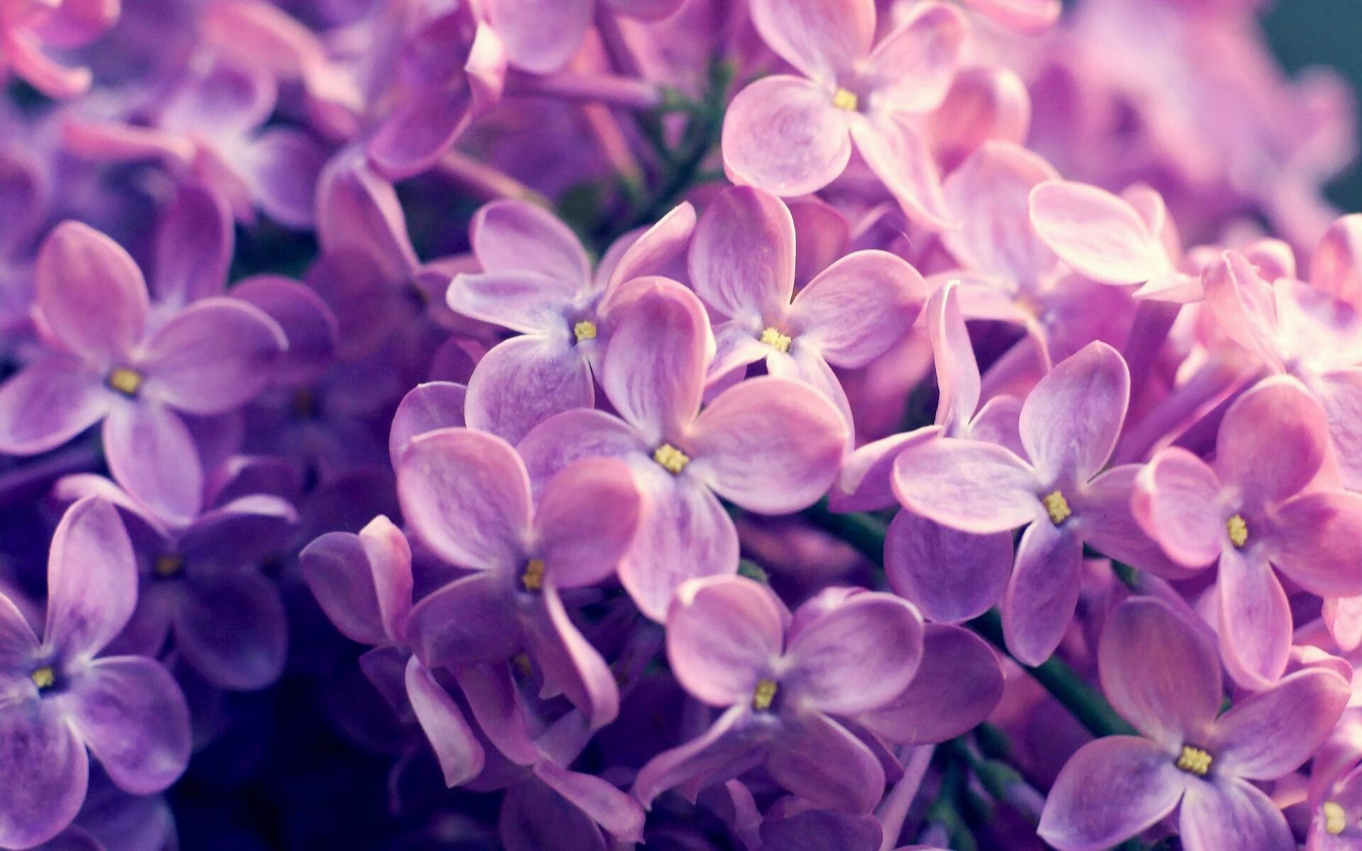 唯一性之夜，当方向盘与三分线在命运中交汇