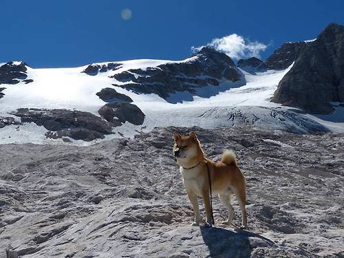 悬崖边上的金靴，凯恩倒钩绝杀铸就拜仁美国黎明