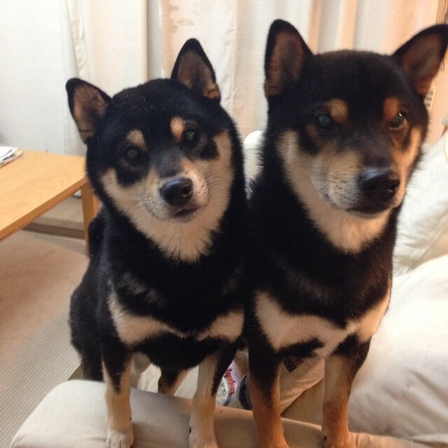 开云sport-足球世界的平行宇宙，萨拉赫、法国队与AC米兰的三重奏