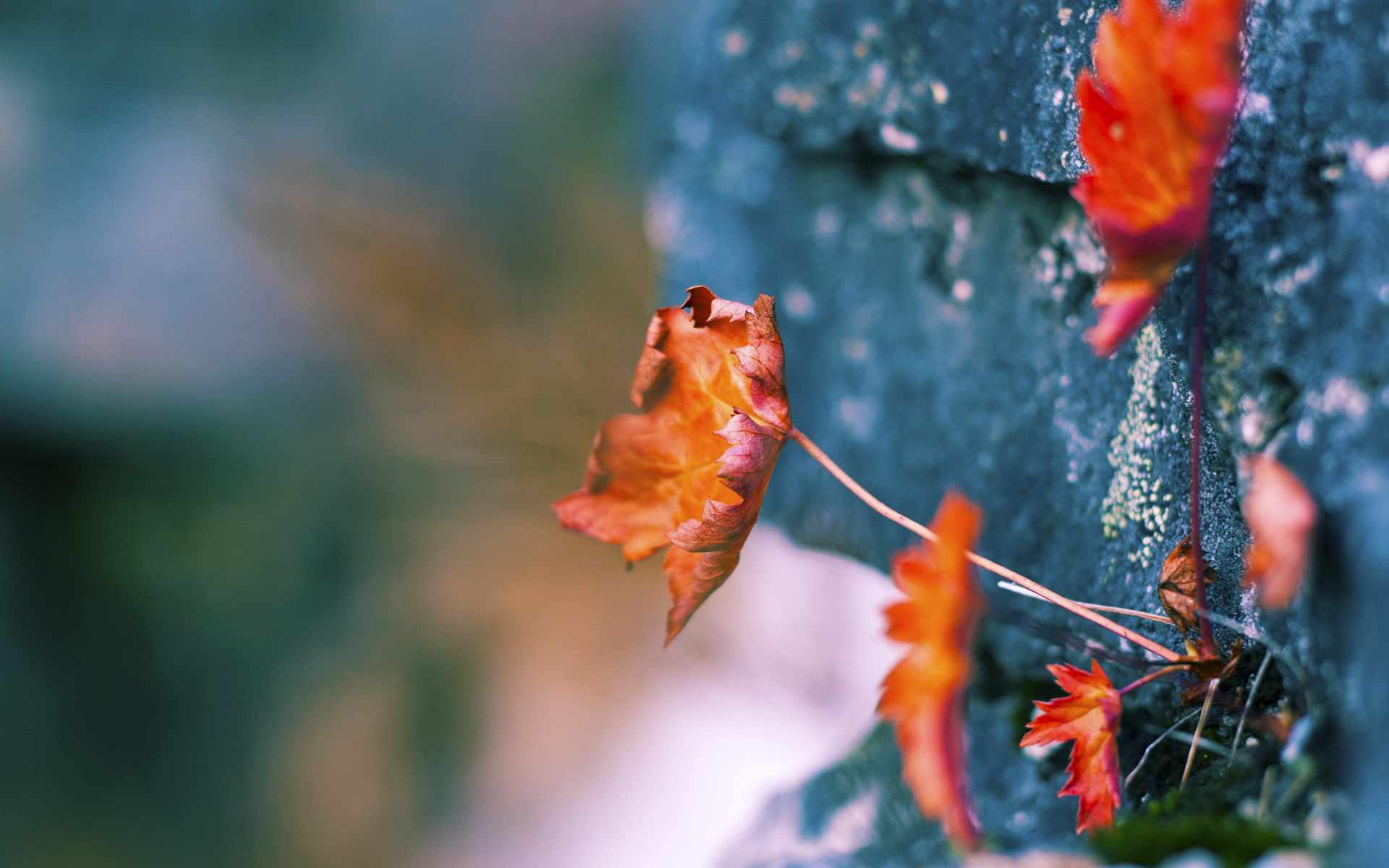 红矛撕裂蓝鹰，特奥·埃尔南德斯如何以一人之力摧毁拉齐奥防线