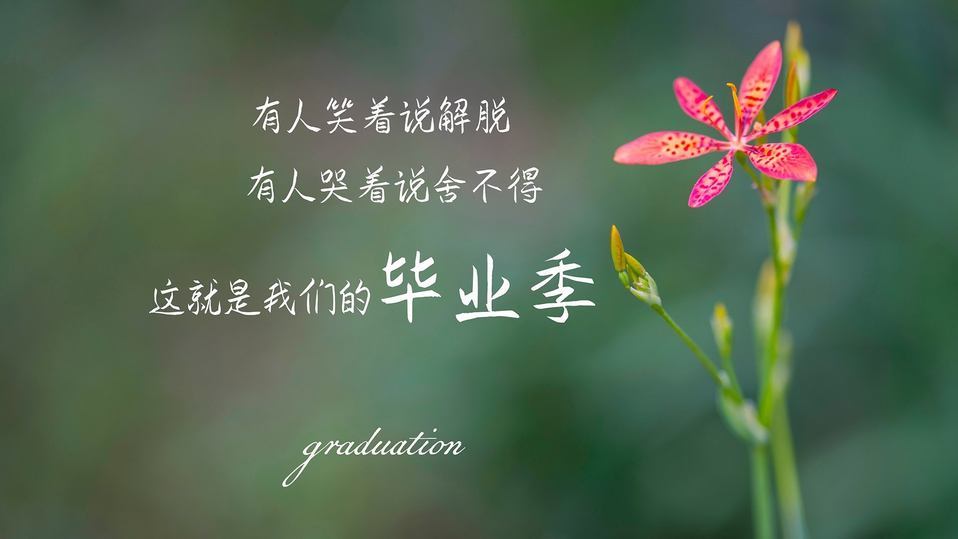 卡萨布兰卡之殇,保加利亚钢铁洪流碾压摩洛哥,福登化身幽灵指挥官主宰E组第一速