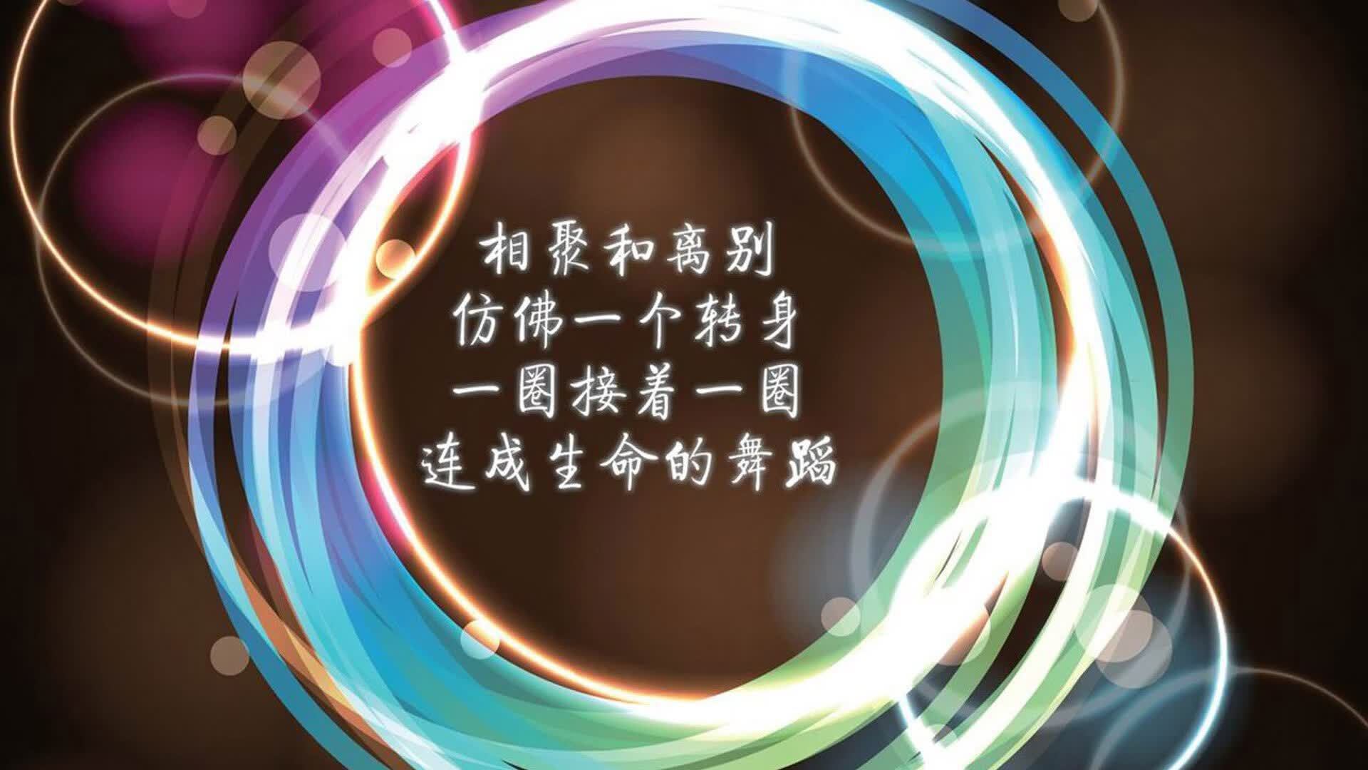 多哈的钢铁长城,当斯洛伐克用平庸刺穿资本神话—2026世界杯决赛唯一性解读