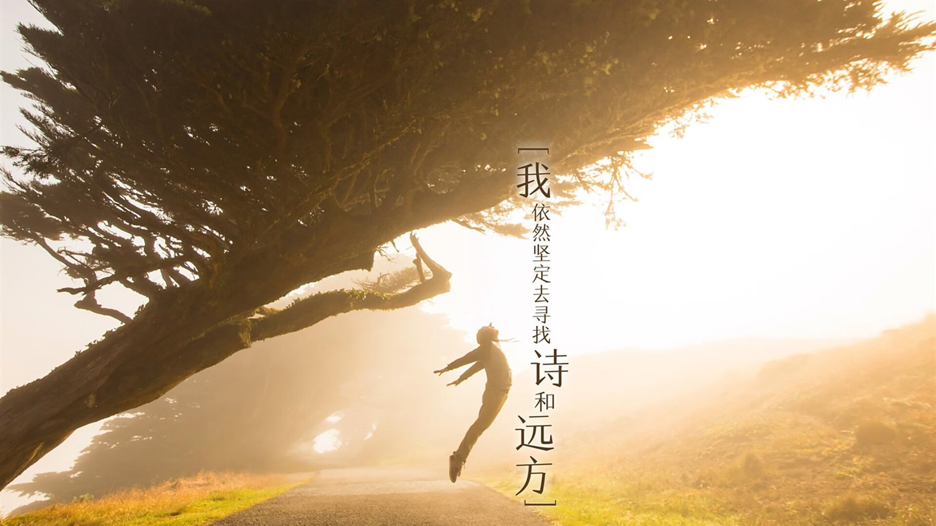 恒河之上的钢铁洪流,2026,萨内用绝对速率撕裂了不可能